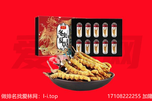 焦作市武陟回收虫草.jpg